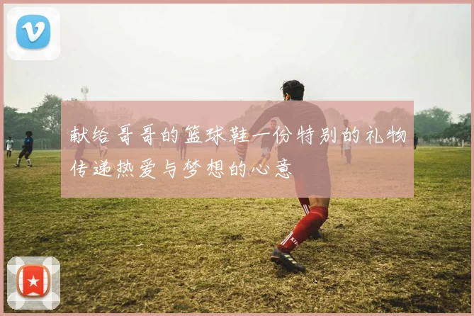 献给哥哥的篮球鞋一份特别的礼物传递热爱与梦想的心意